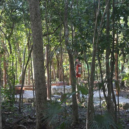 Glamping Mayan Glam Tulum Pueblo Buitenkant foto
