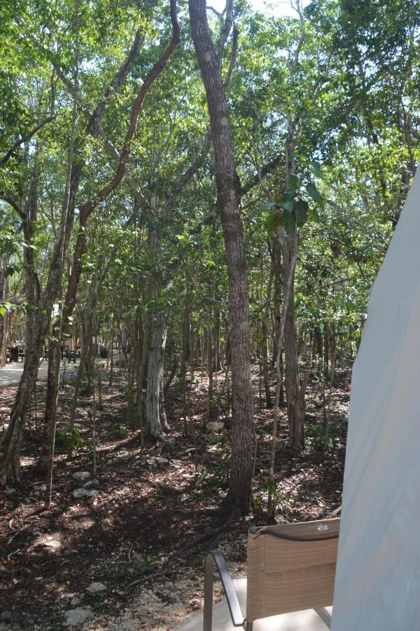 Glamping Mayan Glam Tulum Pueblo Buitenkant foto