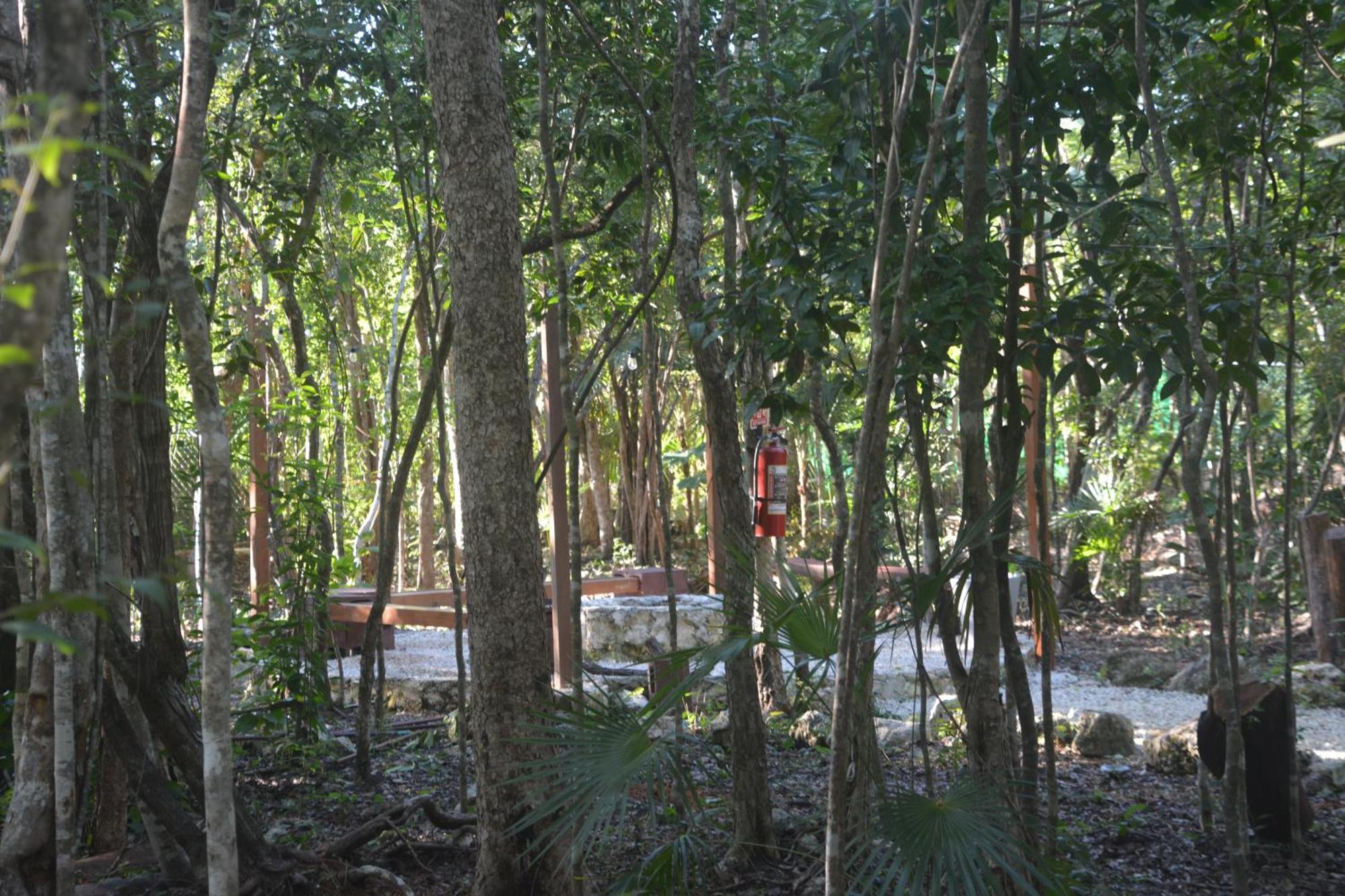 Glamping Mayan Glam Tulum Pueblo Buitenkant foto